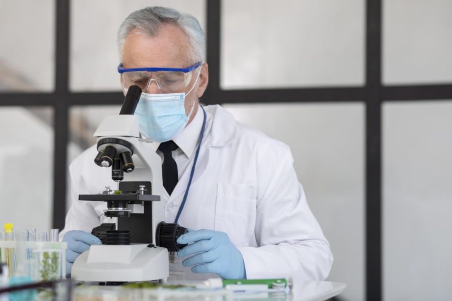 Ученые Академгородка создают наноматериалы для борьбы с раковыми опухолями