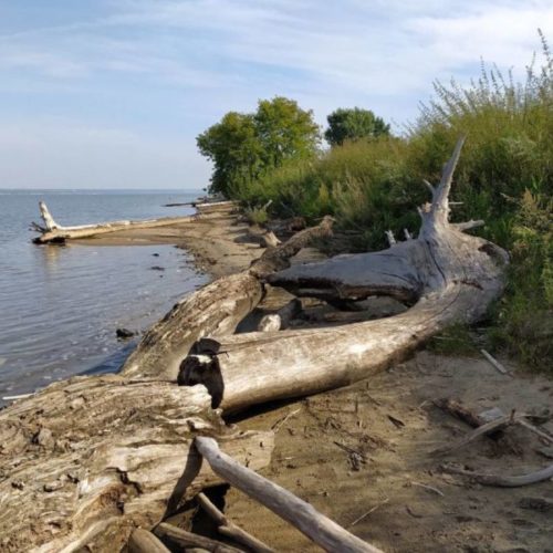 гибель на воде в Новосибирской области