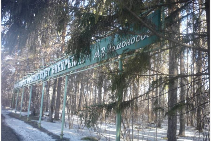 Новосибирцам предложили определить ценность памятников в Калининском и Советском районах