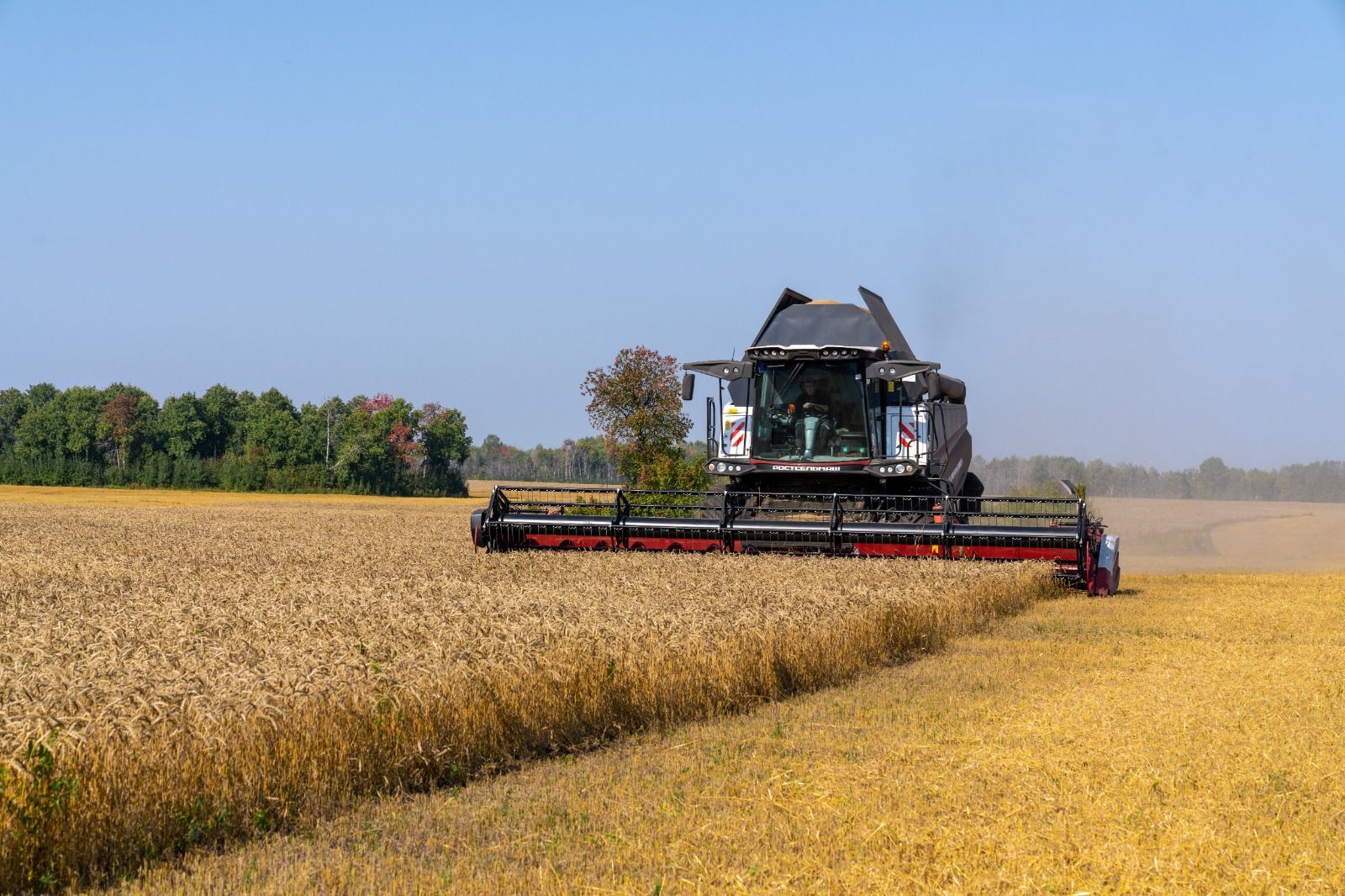 Для решения проблемы с отходами животноводства нужно менять устаревшие нормативы по микроэлементам