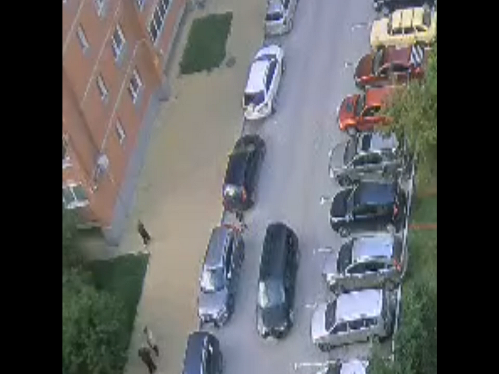 Трехлетний мальчик погиб под колёсами автомобиля в Новосибирске (видео 18+)