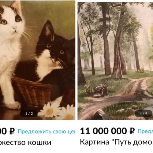 Дарит немножко счастья: сибирячка продает фото котят за 7 миллионов рублей