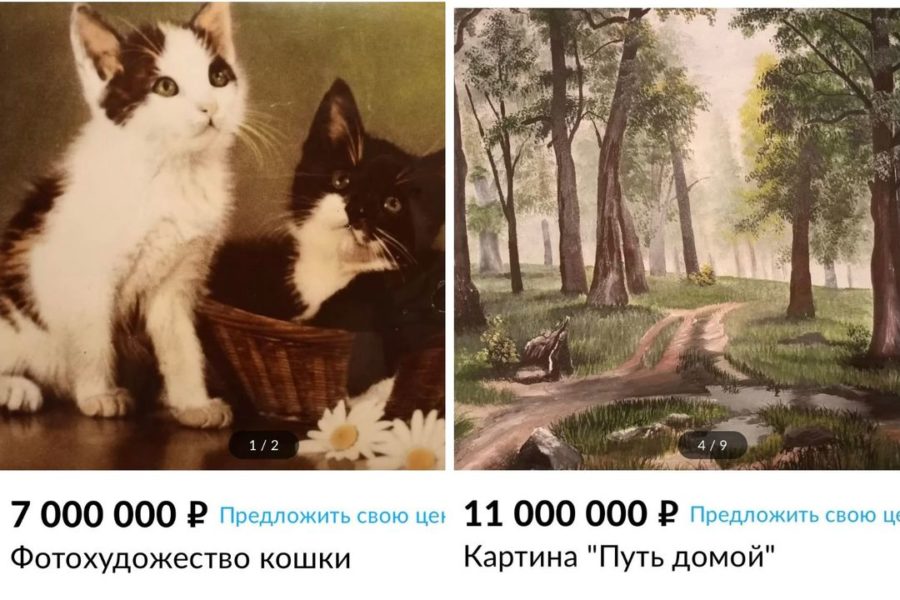 Дарит немножко счастья: сибирячка продает фото котят за 7 миллионов рублей