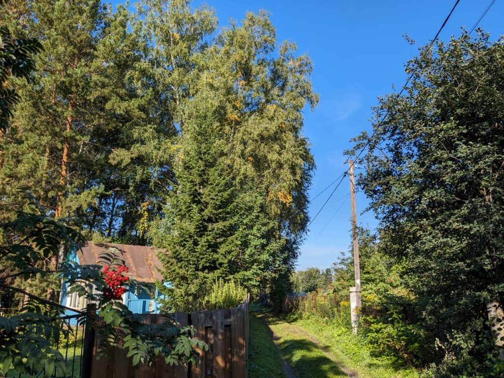 Жители дачного поселка Конструктор в Первомайском районе вторые сутки сидят без света