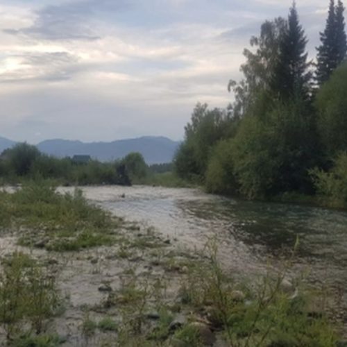 Двухлетний ребенок утонул на Алтае в реке Мульта