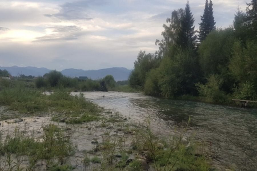 Двухлетний ребенок утонул на Алтае в реке Мульта