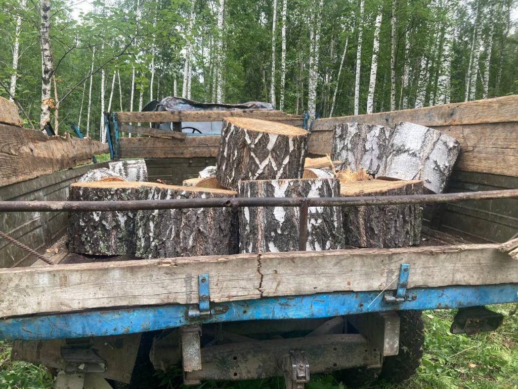 ФСБ поймала банду черных лесорубов под Новосибирском