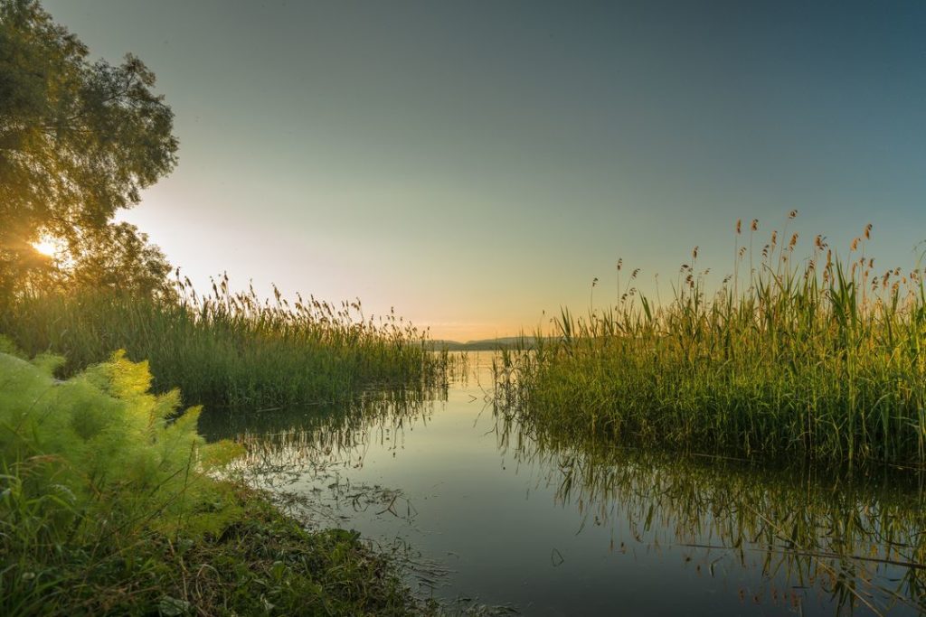 Здесь вам не Сочи: спасатели предупредили о коварстве вернувшейся в Новосибирск жары