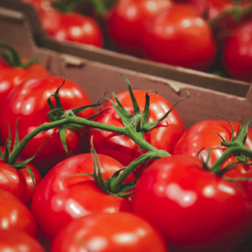 На территорию Новосибирской области не пустили 14 тонн томатов из Казахстана