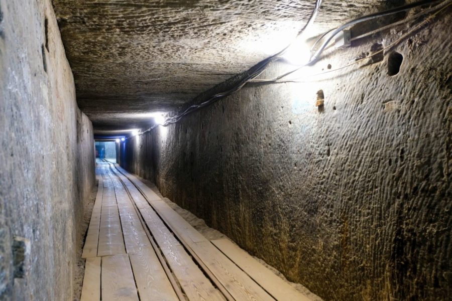Четырех участников экскурсии по подземным коллекторам Москвы нашли мертвыми