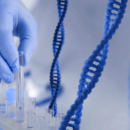 Новосибирец с помощью ДНК-теста избавился от уплаты алиментов