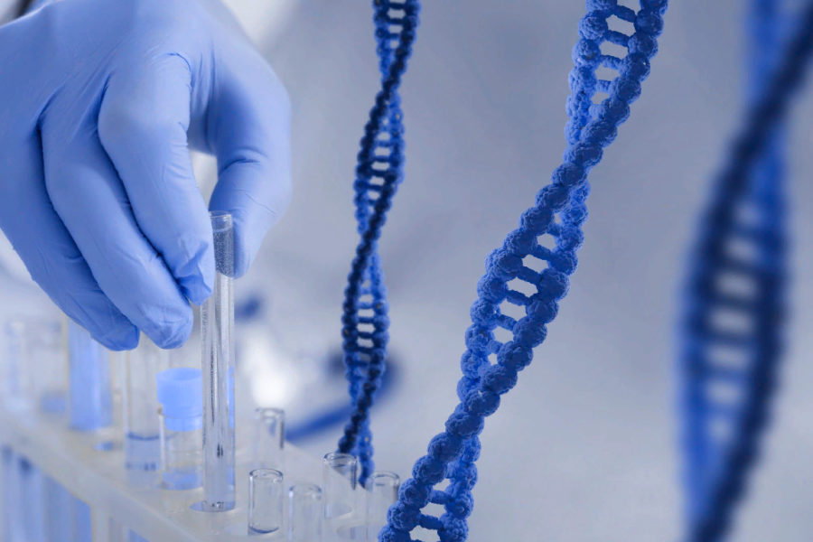 Новосибирец с помощью ДНК-теста избавился от уплаты алиментов
