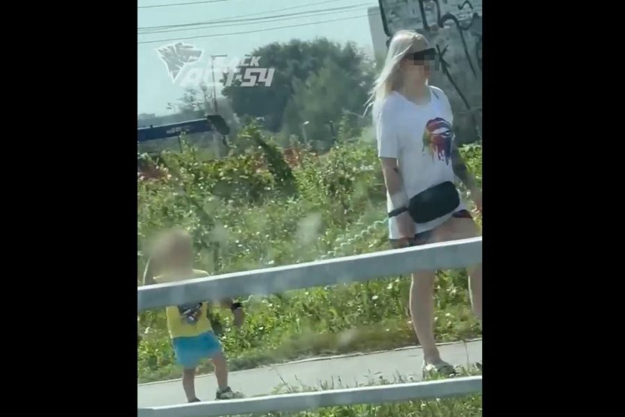 В соцсетях Новосибирска обсуждают видео, где мама выгуливает ребенка на поводке