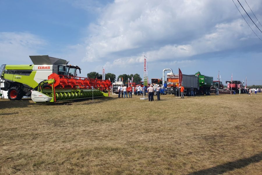 Трактор с дистанционным управлением и элитных коров показали на Дне поля в Новосибирске