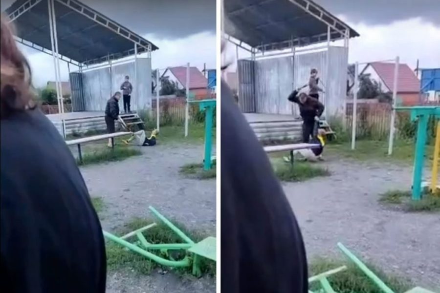 «Сдам в детдом!»: очевидцы сняли на видео, как отец лупит ребенка под Новосибирском