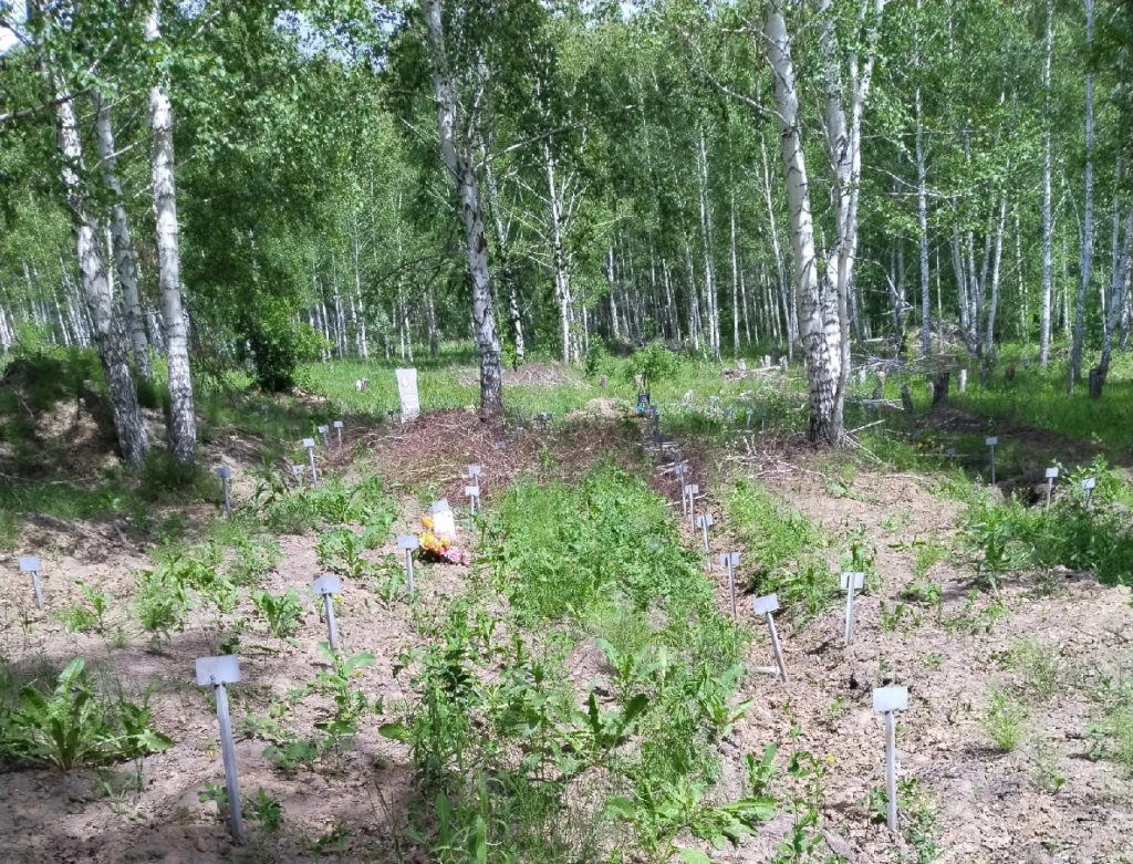 Прокуратура устанавливает законность могил за забором Гусинобродского кладбища