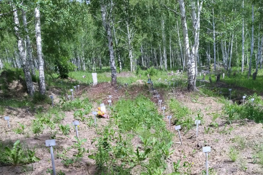 Прокуратура устанавливает законность могил за забором Гусинобродского кладбища