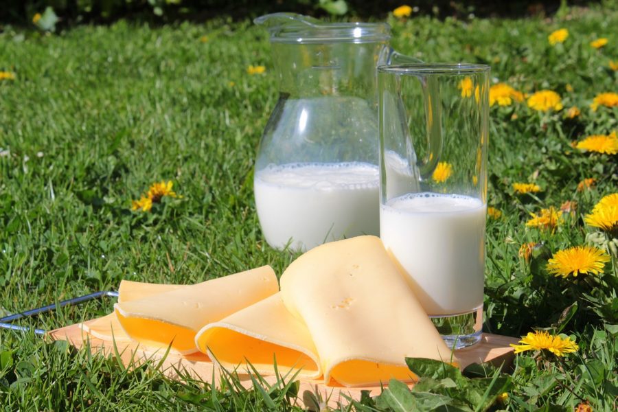 Переработчики и производители ждут рост цен на молоко к осени