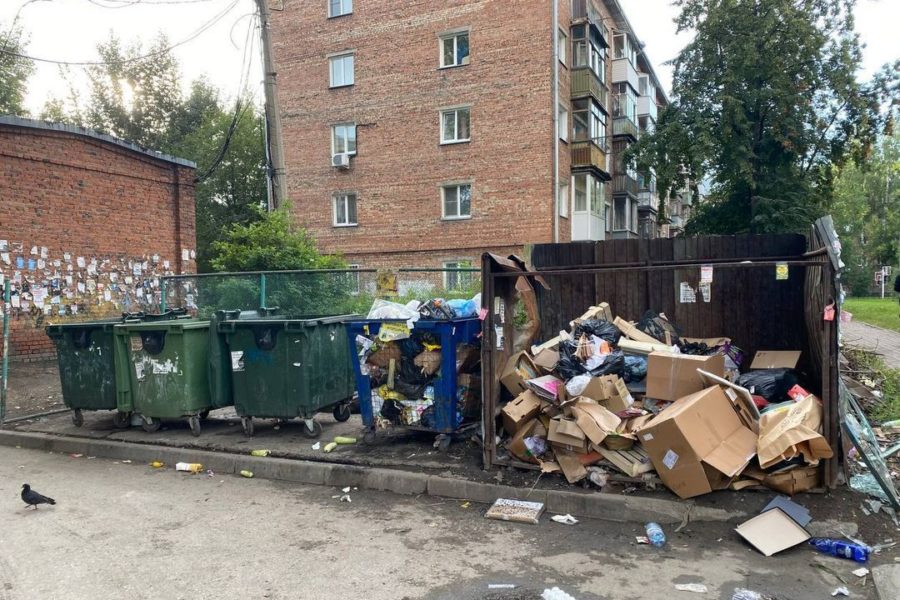 Прокуратура выявила 46 нарушений по вывозу мусора в Новосибирске