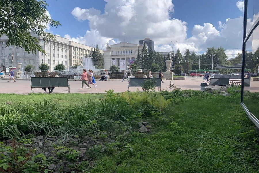 МВД помогло семье скрипачки из Египта переселиться в Новосибирск