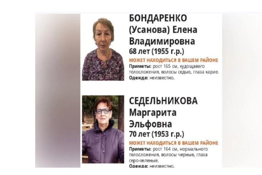Стали известны обстоятельства исчезновения двух пенсионерок под Новосибирском