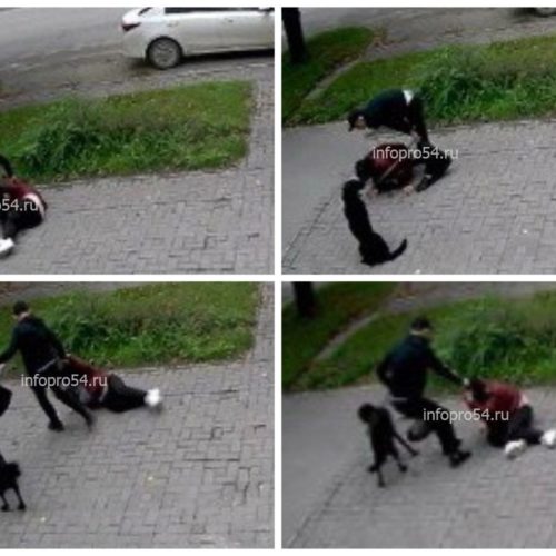 Опубликовано видео смертельного избиения многодетной матери в Новосибирске