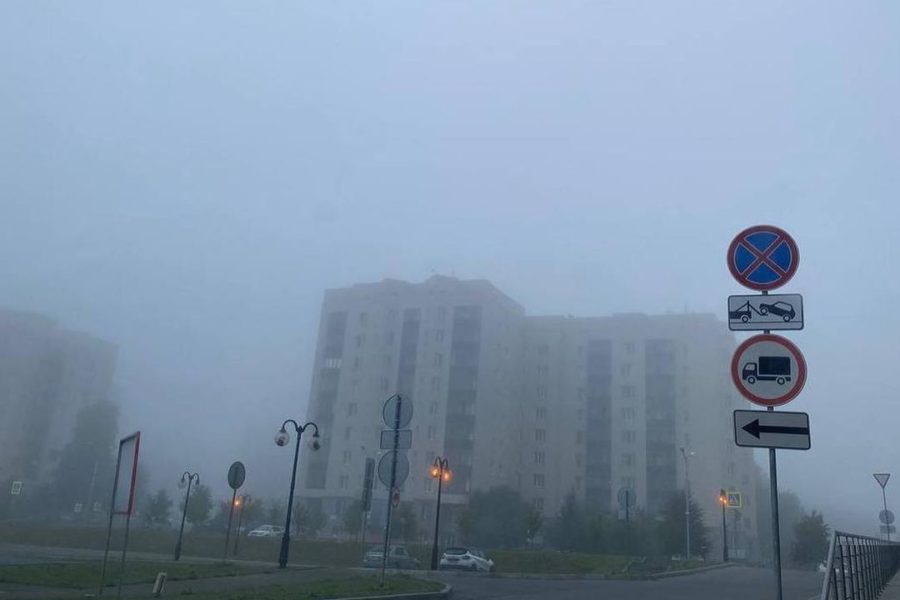 Из-за густого тумана в Толмачево 22 августа задержали несколько рейсов