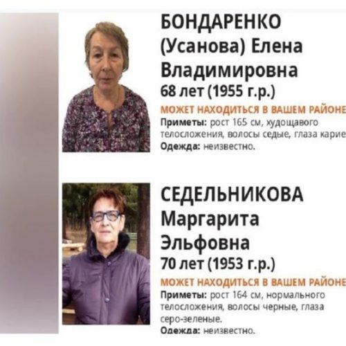 Волонтеры нашли двух новосибирских бабушек, которые ушли за грибами