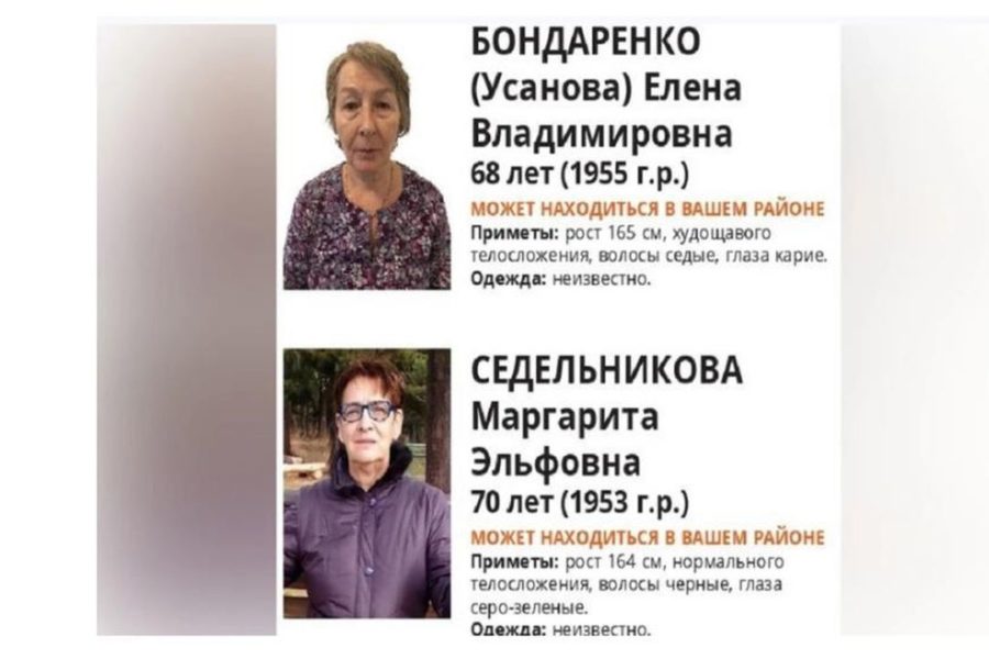 Волонтеры нашли двух новосибирских бабушек, которые ушли за грибами