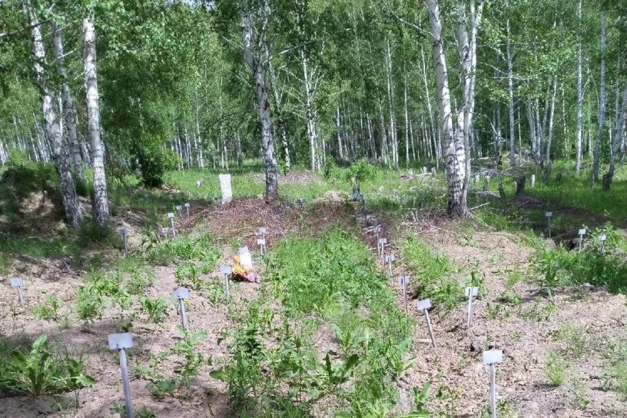 В мэрии Новосибирска прокомментировали ситуацию с 67 могилами за забором