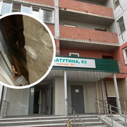Шпиц упал в шахту лифта в Новосибирске
