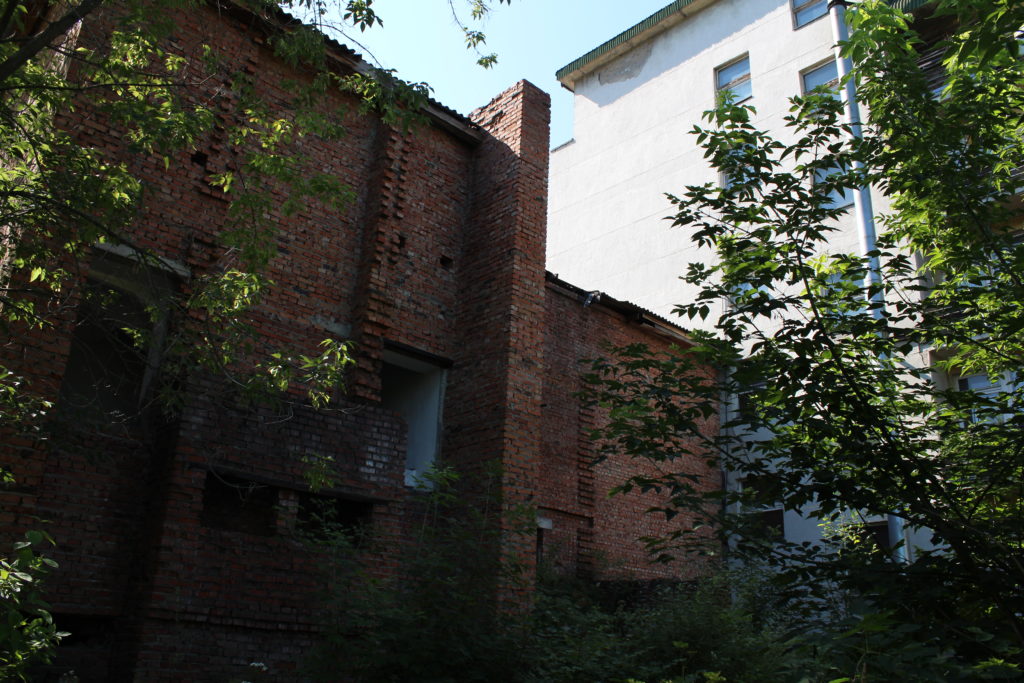 Закон об ООПТ ухудшает инвестиционный климат Новосибирска — мнение эксперта