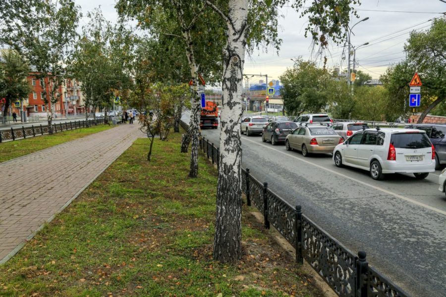 24 дерева и более 400 кустов высадят на бульваре Красного проспекта