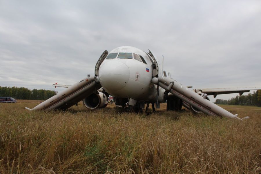 Расшифровали черные ящики самолета, севшего в поле под Новосибирском