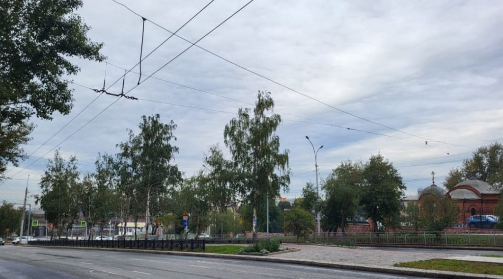 Снесут деревья на бульваре на Красном проспекте в Новосибирске