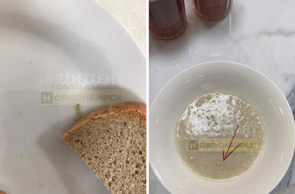 Новосибирский школьник отомстил директору и подкинул червей в столовую