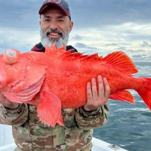 Новосибирский бизнесмен в Тихом океане поймал красного окуня гигантских размеров