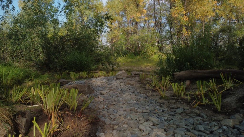 В новосибирском парке «Арена» выкладывают дорожки у реки Обь