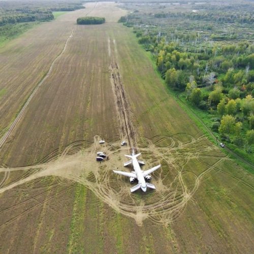 Уральские авиалинии возместят ущерб новосибирским сельхозпроизводителям