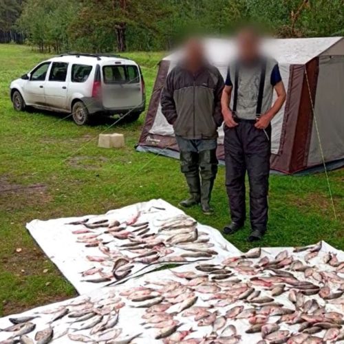 Полицейские отобрали незаконный улов у браконьеров в Новосибирске
