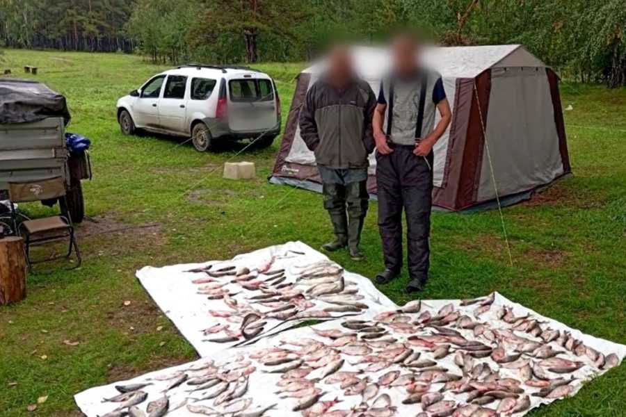 Полицейские отобрали незаконный улов у браконьеров в Новосибирске
