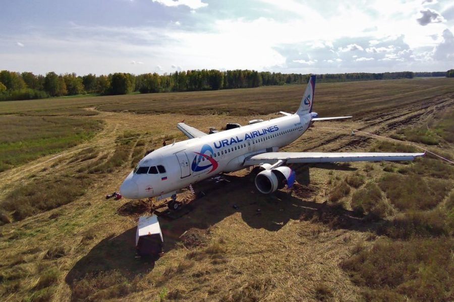 Росавиация отменила итоги расследования аварийной посадки Аэробуса в поле под Новосибирском.