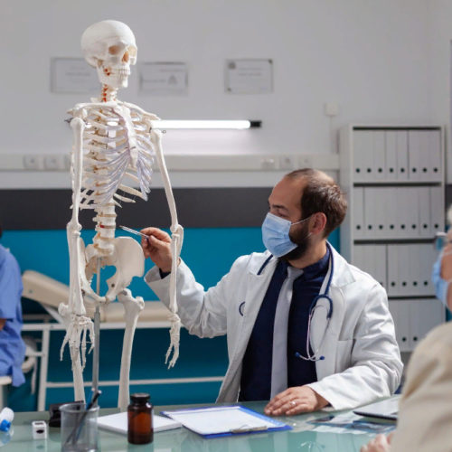 Созданные сибирскими учеными биоразлагаемые 3D-импланты восстановили костную ткань