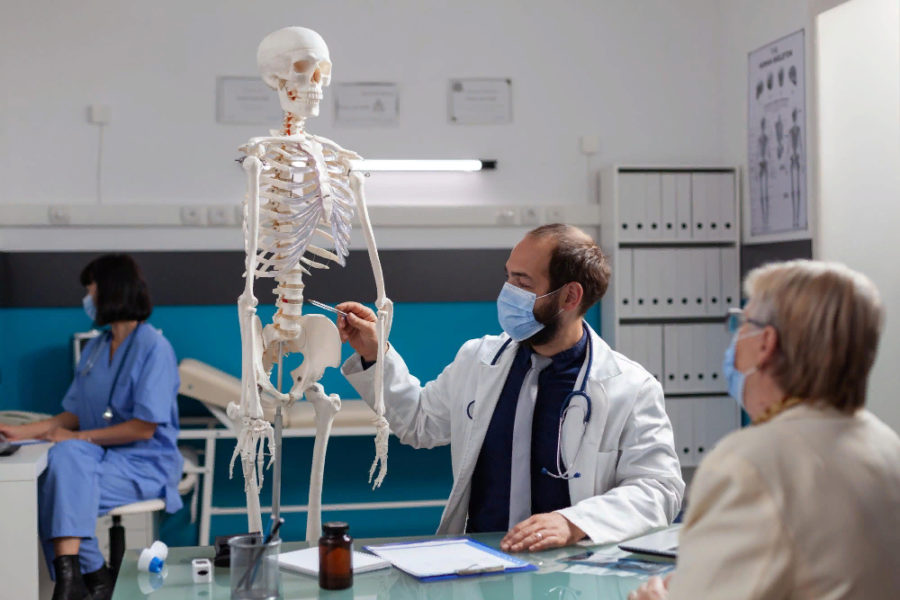 Созданные сибирскими учеными биоразлагаемые 3D-импланты восстановили костную ткань