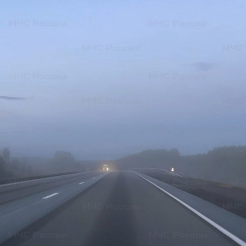 Туман в Новосибирской области