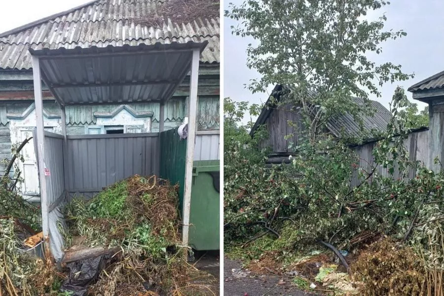 Новосибирцев просят не выбрасывать «вершки и корешки» в мусорные контейнеры