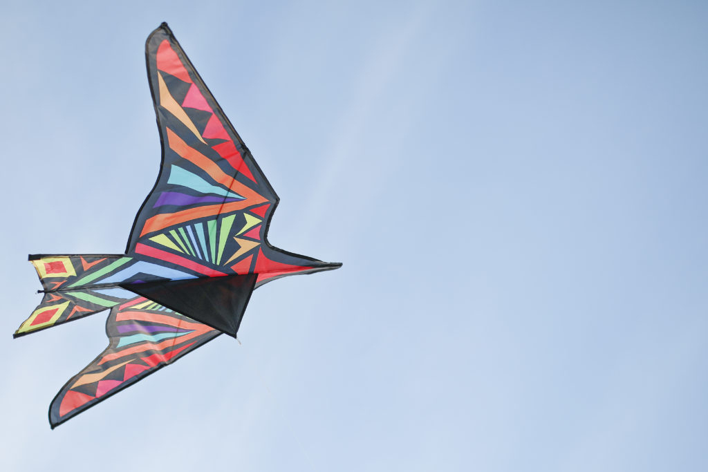 В Новосибирске на набережной ОбьГЭС запустят 40 воздушных змеев