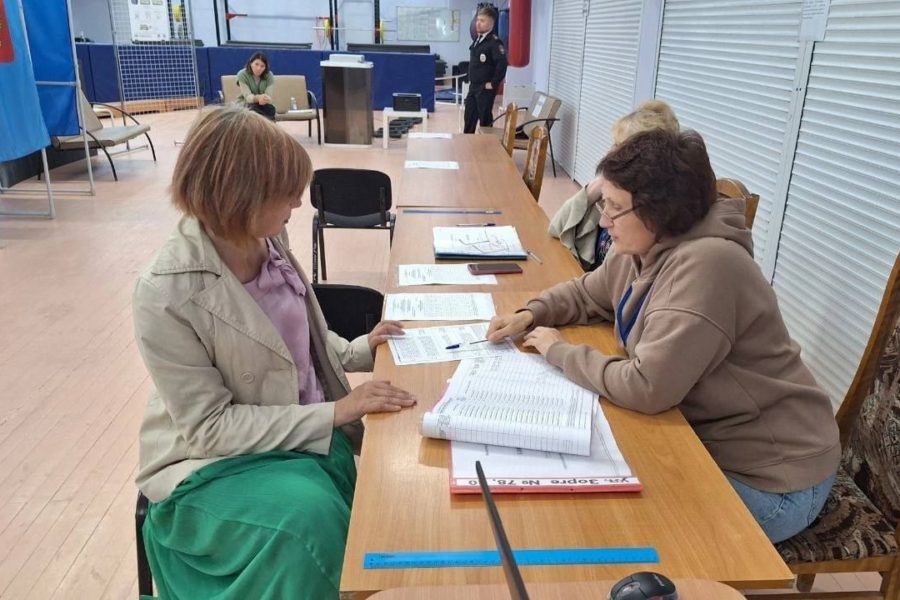Новосибирский депутат нашла нарушение в день выборов