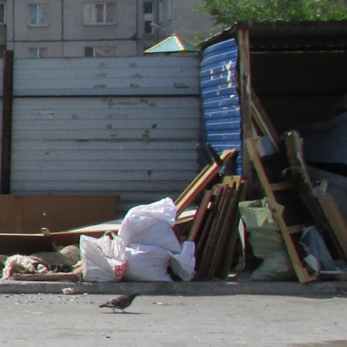 В Новосибирске незаконный сброс отходов будут фиксировать фото- и видеокамеры