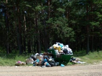 В местах массового отдыха туристов будут устанавливать контейнерные площадки для мусора